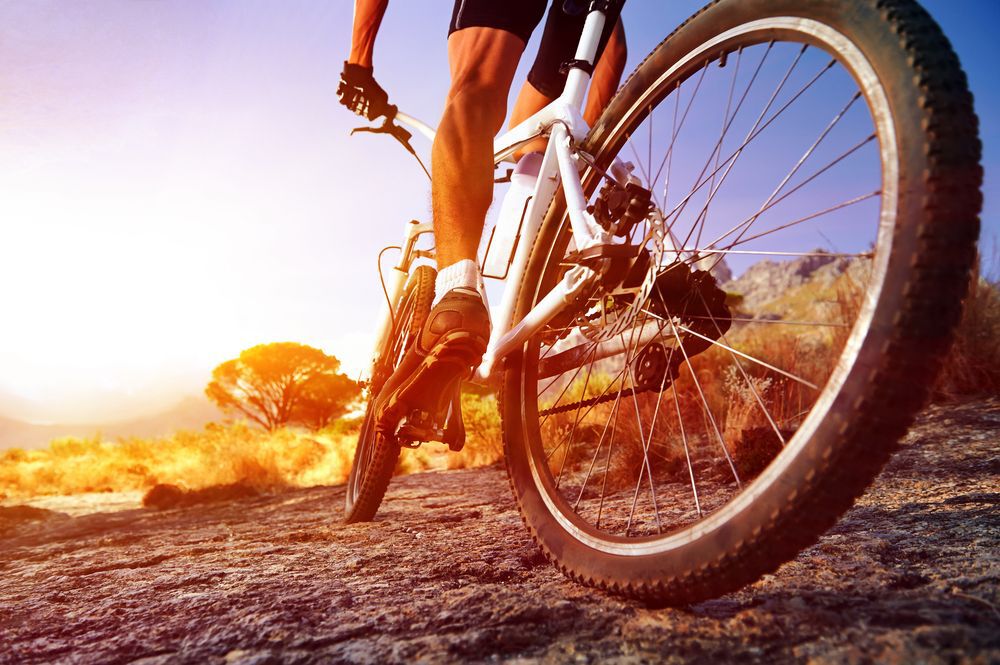 A low-angle shot of a mountain bike rider on a rocky trail
