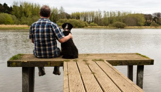 An man and dog sitting together on a dock, backs to the camera