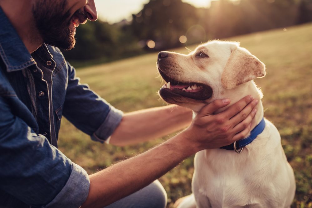 A man with his Labrador retriever dog