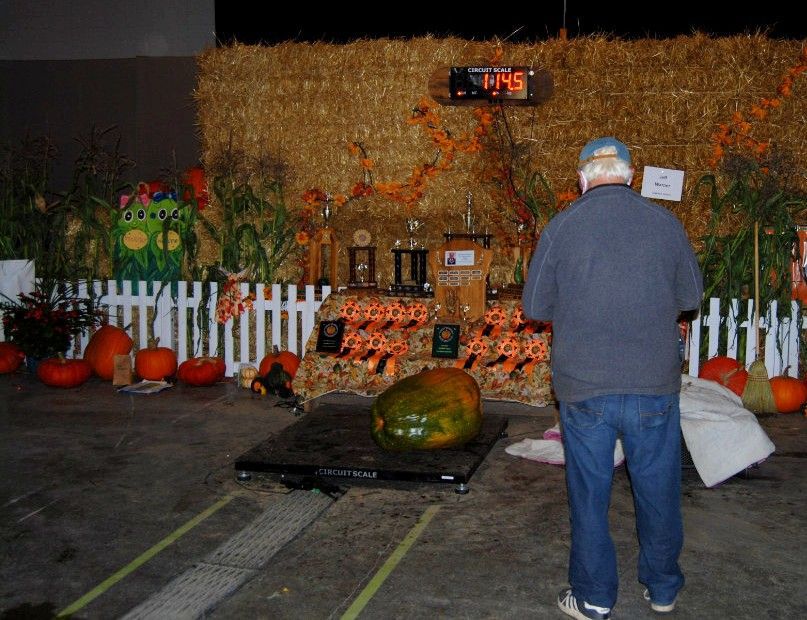 Heaviest Field Pumpkin