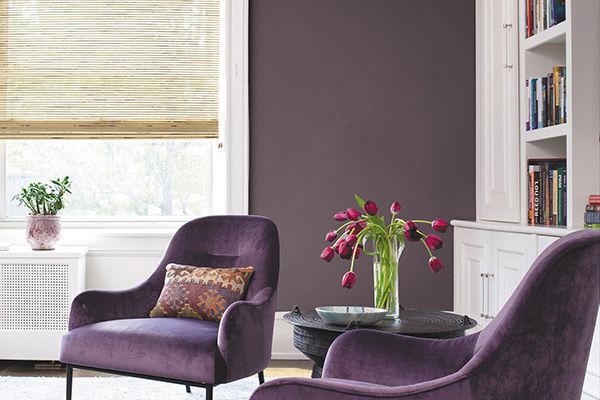 eggplant coloured wall behind a similarly coloured purple chair