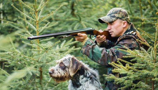 A hunter and his dog in a pine forest