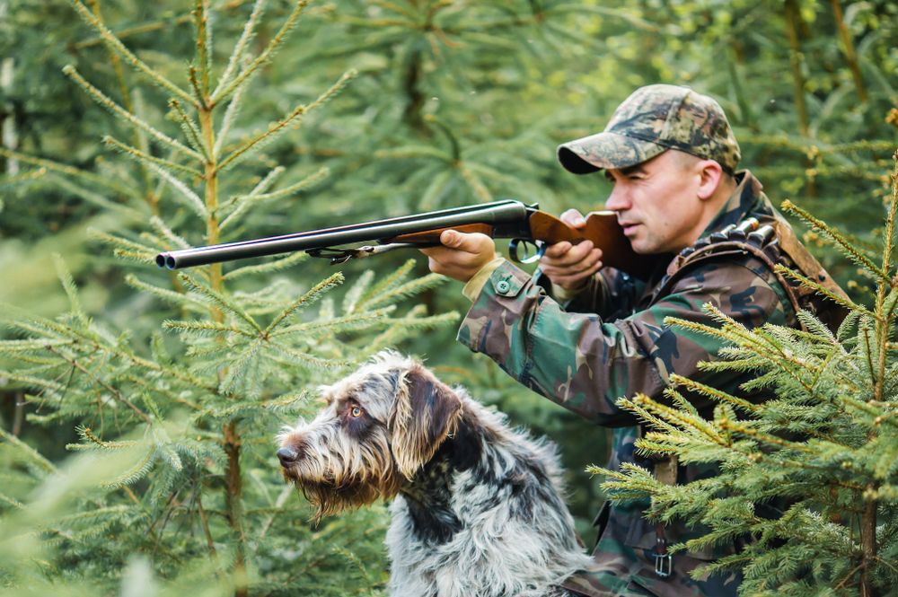 A hunter and his dog in a pine forest