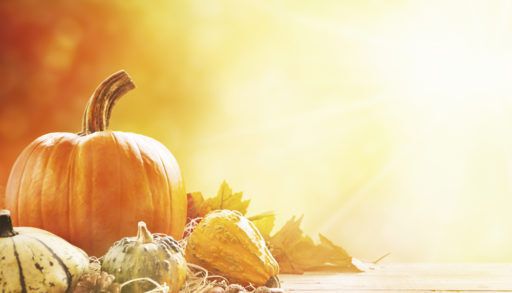 Thanksgiving pumpkins