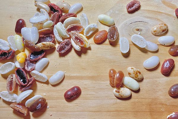 jellybeans on a wooden board for gingerbread cottage
