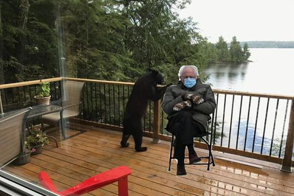 Bernie Sanders with a bear