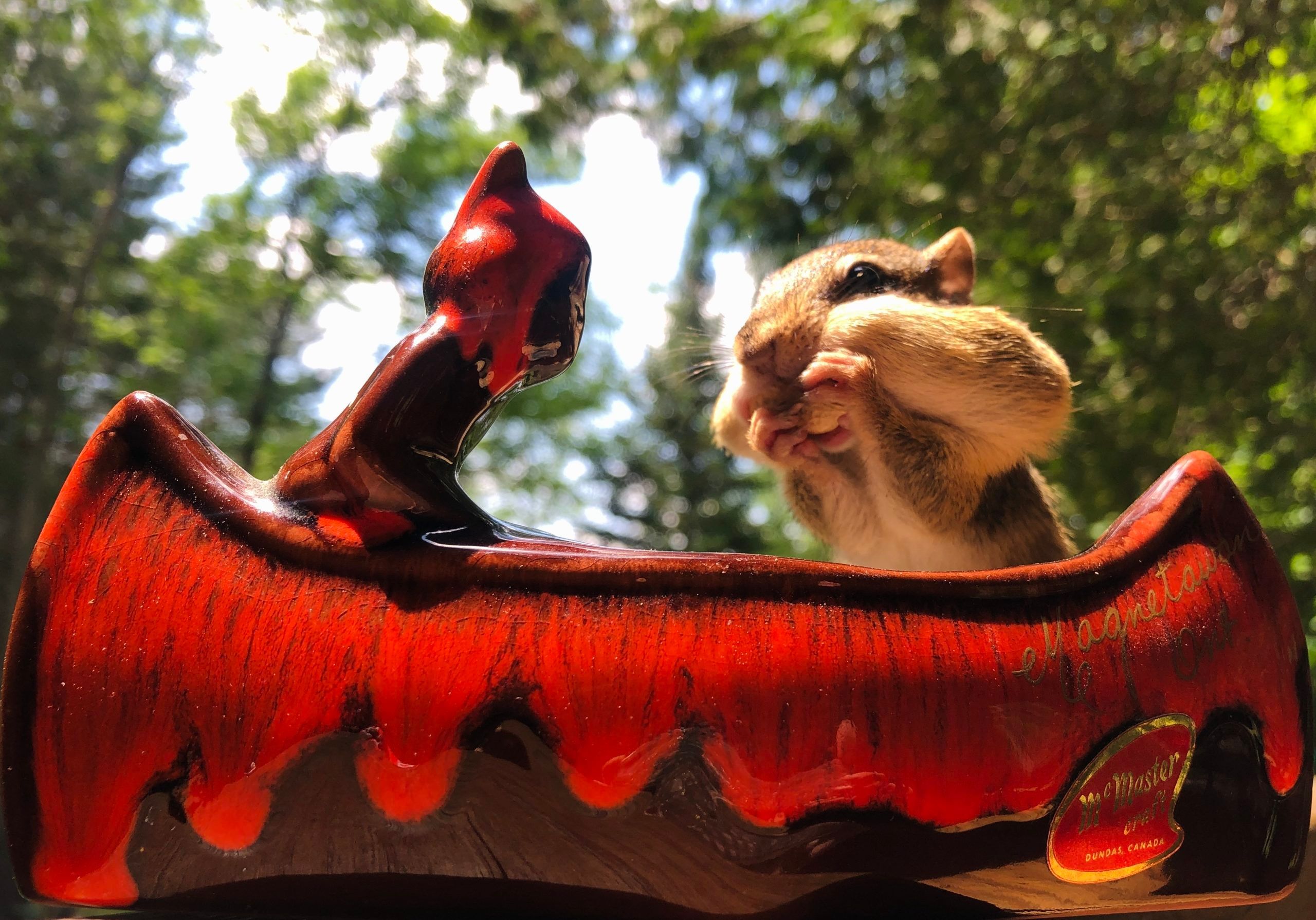 Chipmunk with peanuts