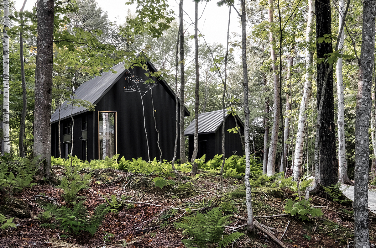 two small black cottages in the distance in the trees, colin and justin's book escapology