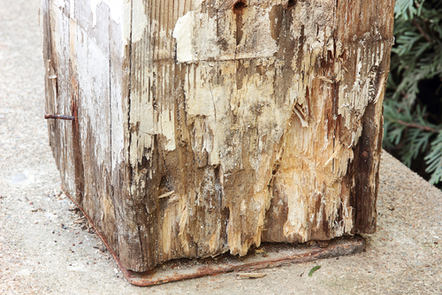 Rotting railing wood. Damaged caused by water infiltration or carpenter ants. Landscape contractors can use this as a cautionary tale of what to use for deck posts