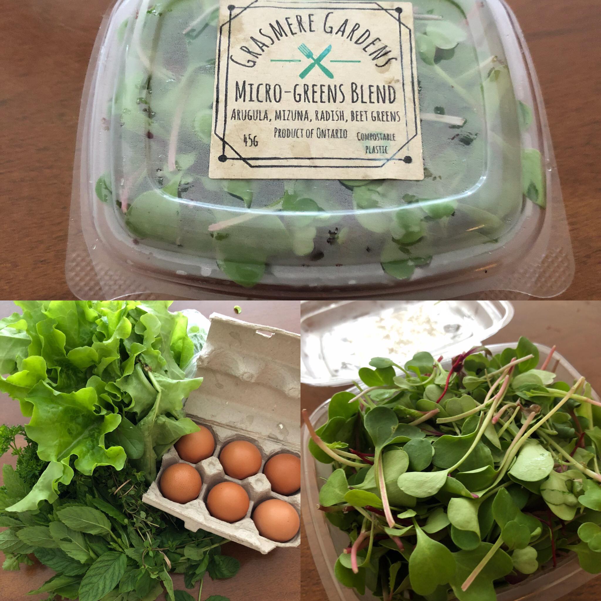 Micro-greens and eggs from Bala Farmer's Market