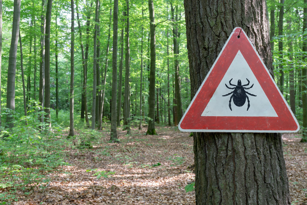 warning sign for ticks on trail sign