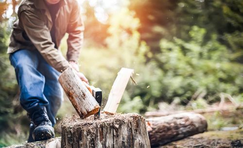 Man holding heavy ax. Axe in lumberjack hands chopping or cutting wood trunks, spring maintenance