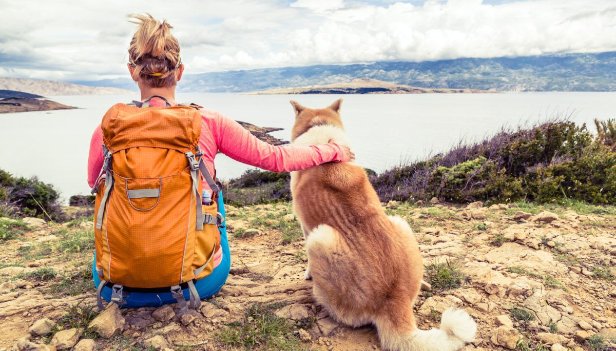 spring hike with dog