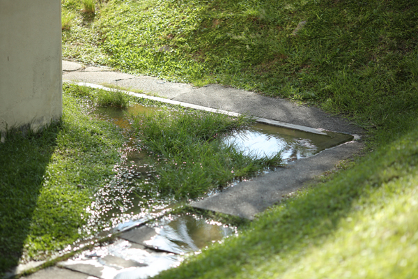 Flooding on the grass caused by a blocked, malfunctioning septic tank.