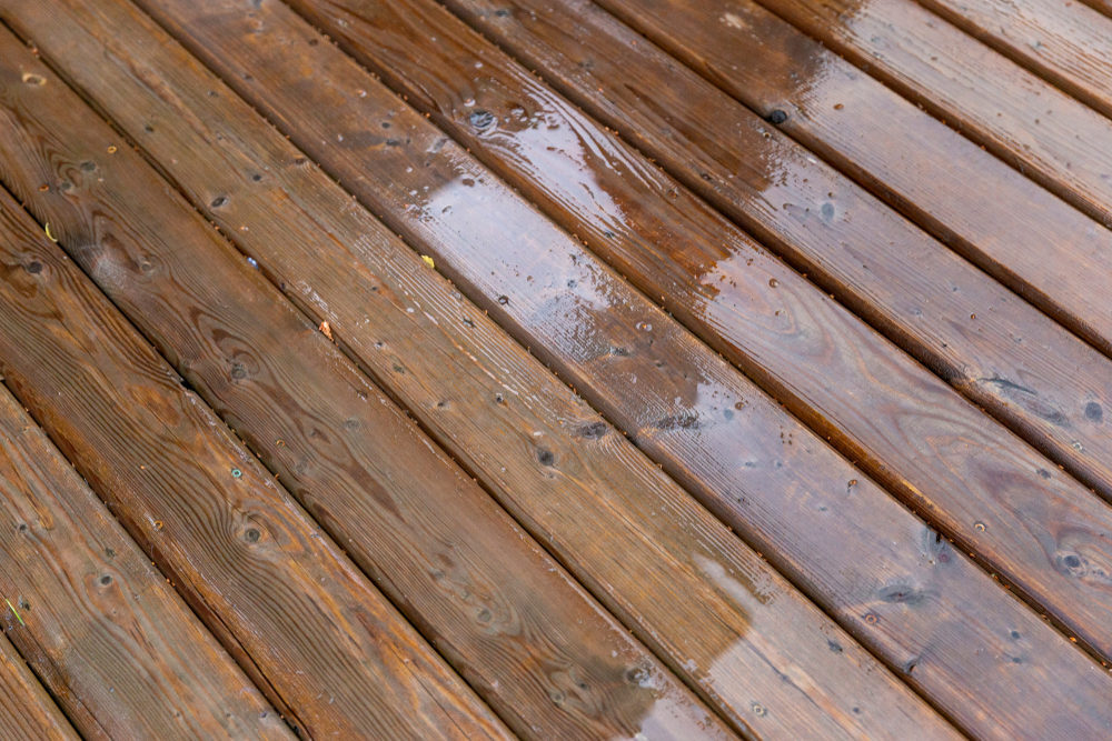 Close-up of wet wooden deck