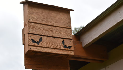 A bat house mounted to the side of a barn