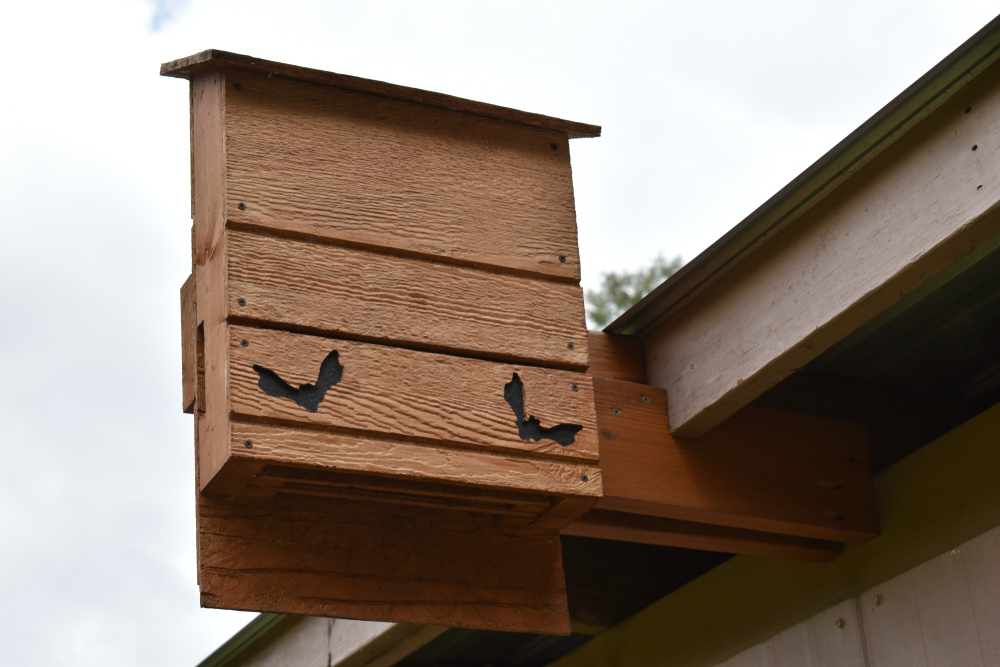A bat house mounted to the side of a barn