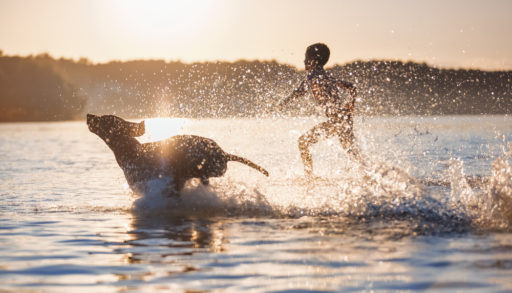 Dog playing in lake with child