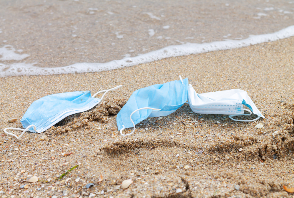 PPE litter on the shorline
