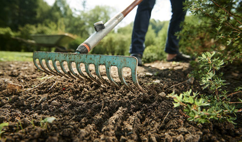 Garden rake going over soil in a garden, yardwork tools