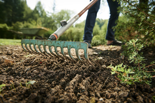 Garden rake going over soil in a garden, yardwork tools