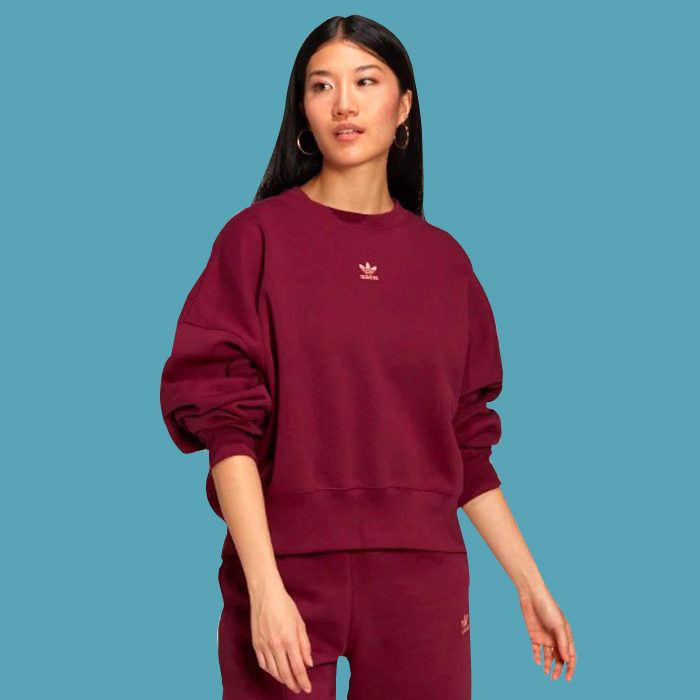 sweatshirt for cozy cottage sweaters