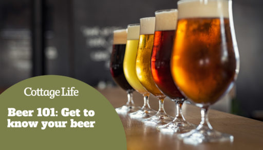 Glasses with different sorts of craft beer on wooden bar. Tap beer in pint glasses arranged in a row. Closeup of five glasses of different types of draught beer in a pub.