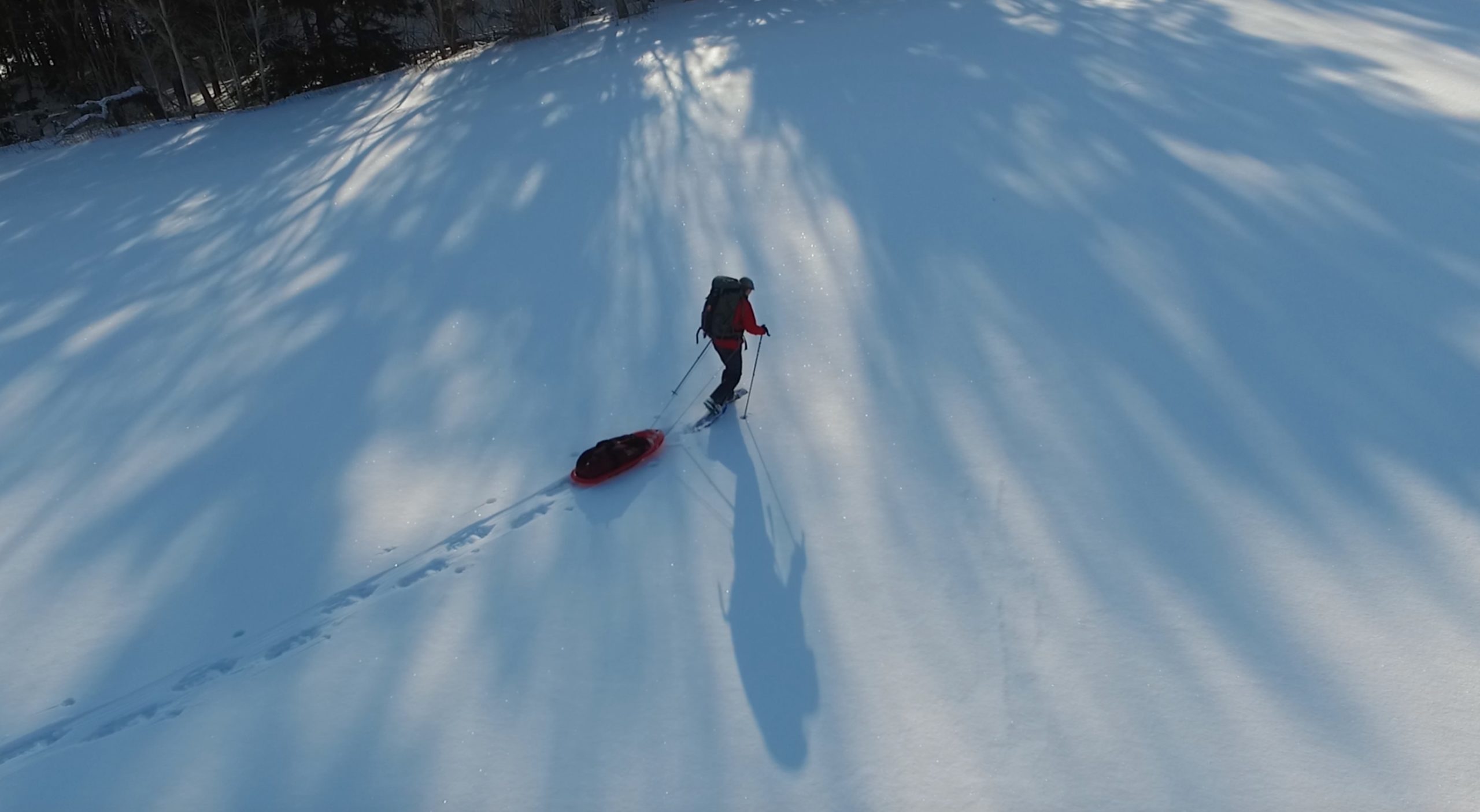 Dianne snowshoeing and pulling a sled through Fundy Park