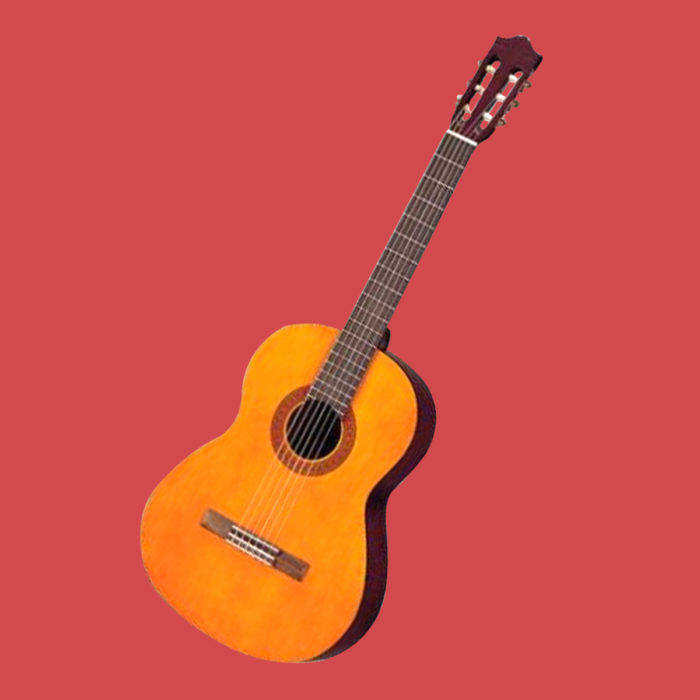 acoustic guitar