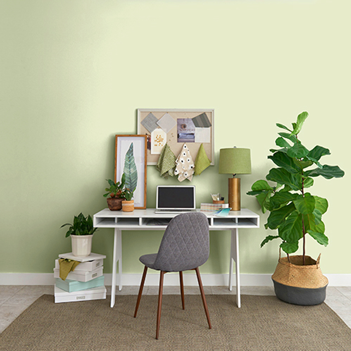 soft green paint in room, colour of the year