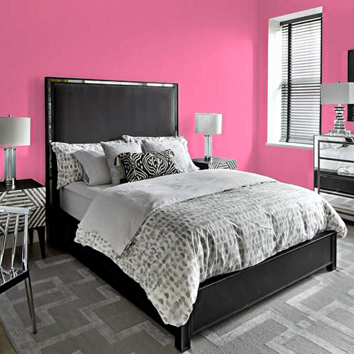 Paris pink paint in room, colour of the year