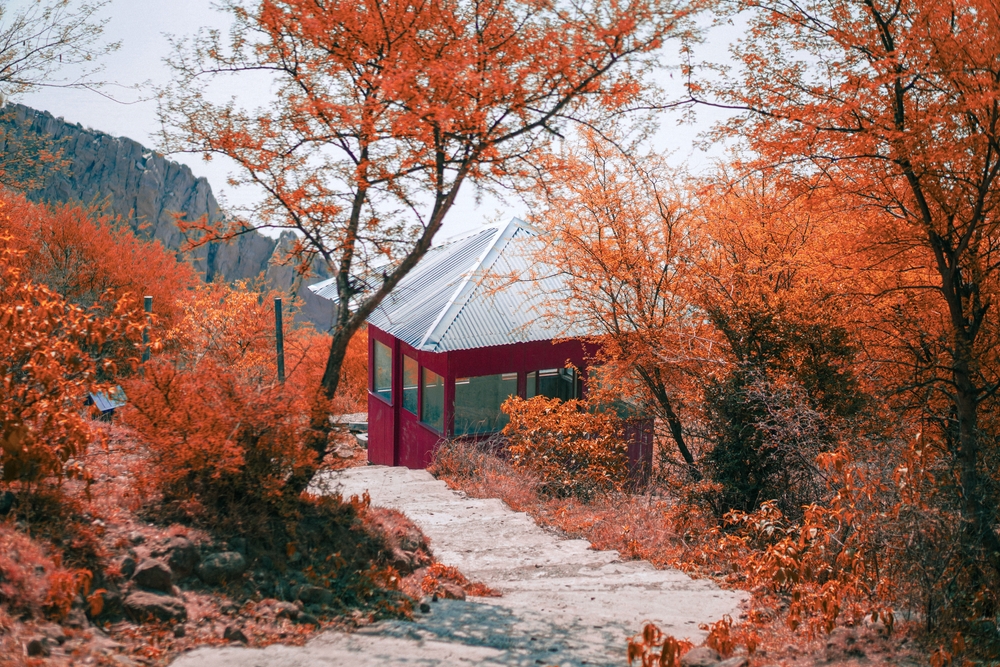 A small cottage surrounded by fall trees