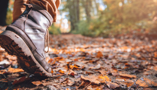 fall boots hike