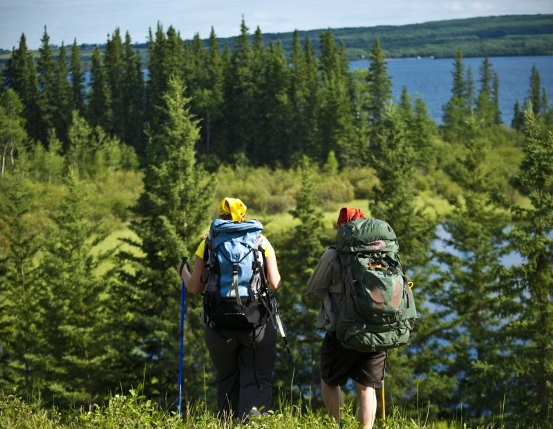 The Boreal Trail in Saskatchewan