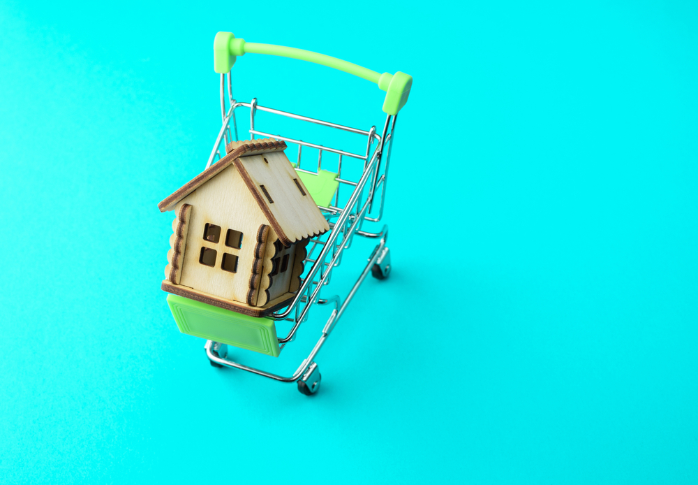 New cabin in a supermarket basket on a coloured background. Real estate object, house for sale, rental property concept.