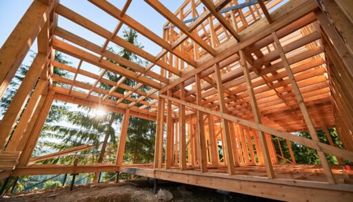 frame of building in the forest