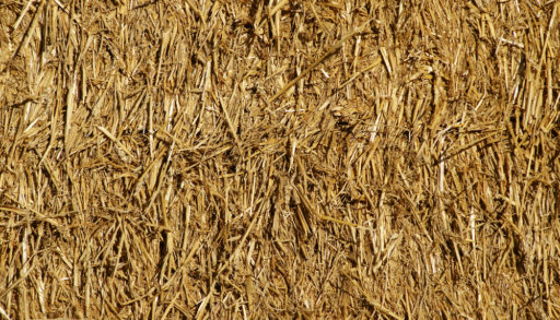 A close up shot of a straw bale