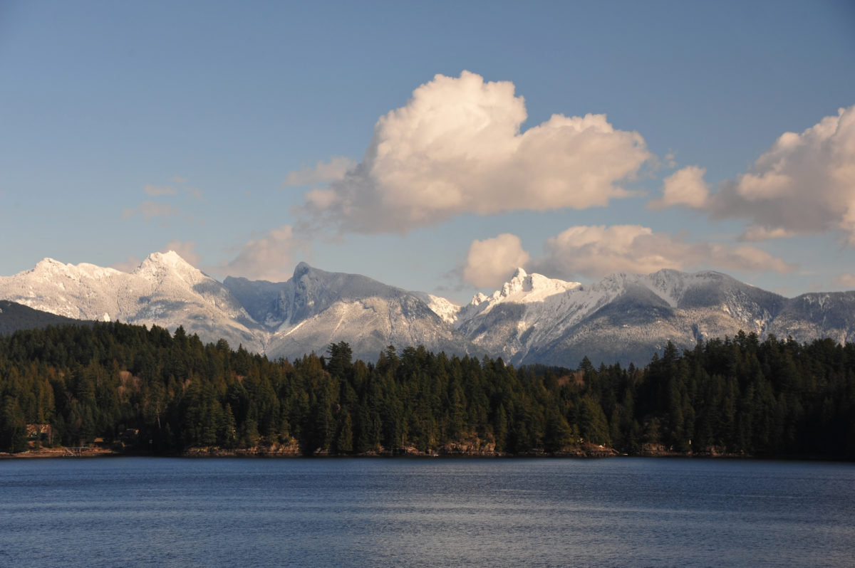 A view of the trees and mountains from the ferry to Sunshine Coast, B.C.
