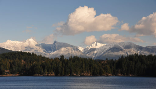 A view of the trees and mountains from the ferry to Sunshine Coast, B.C.