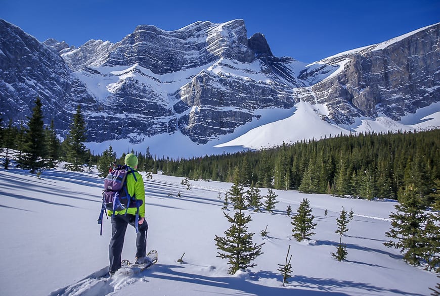 Snowshoeing in Alberta