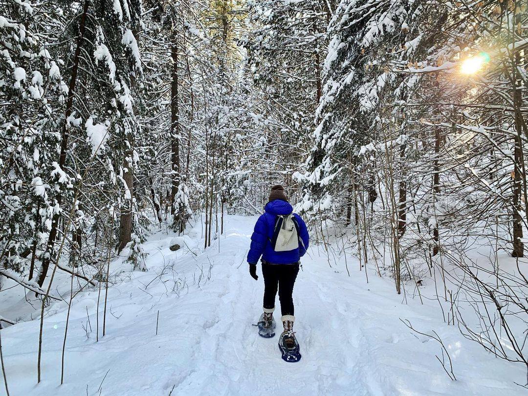 Snowshoeing in Gatineau Park