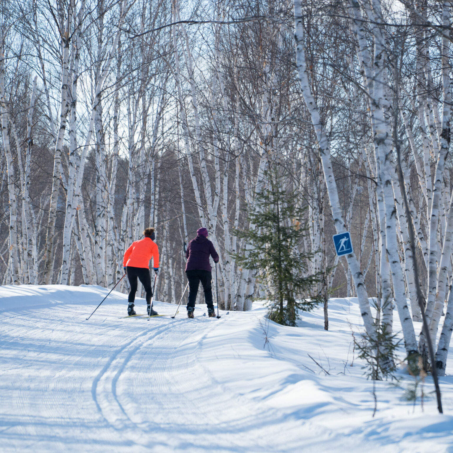 Kivi Park, Sudbury, Ont.