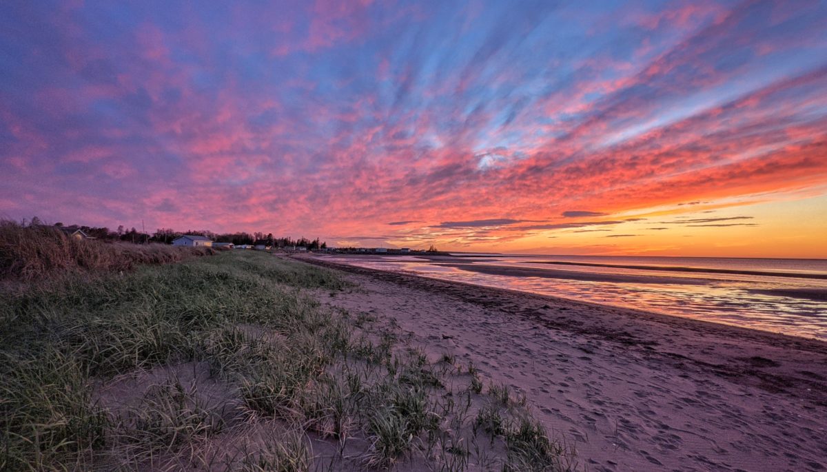 Peacock cove sunset at the beach