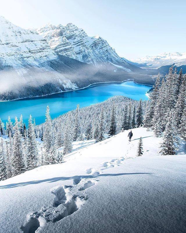 Snowshoeing in Peyto Lake