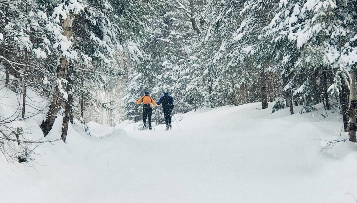 Stokely Creek Lodge, Goulais River, Ont.