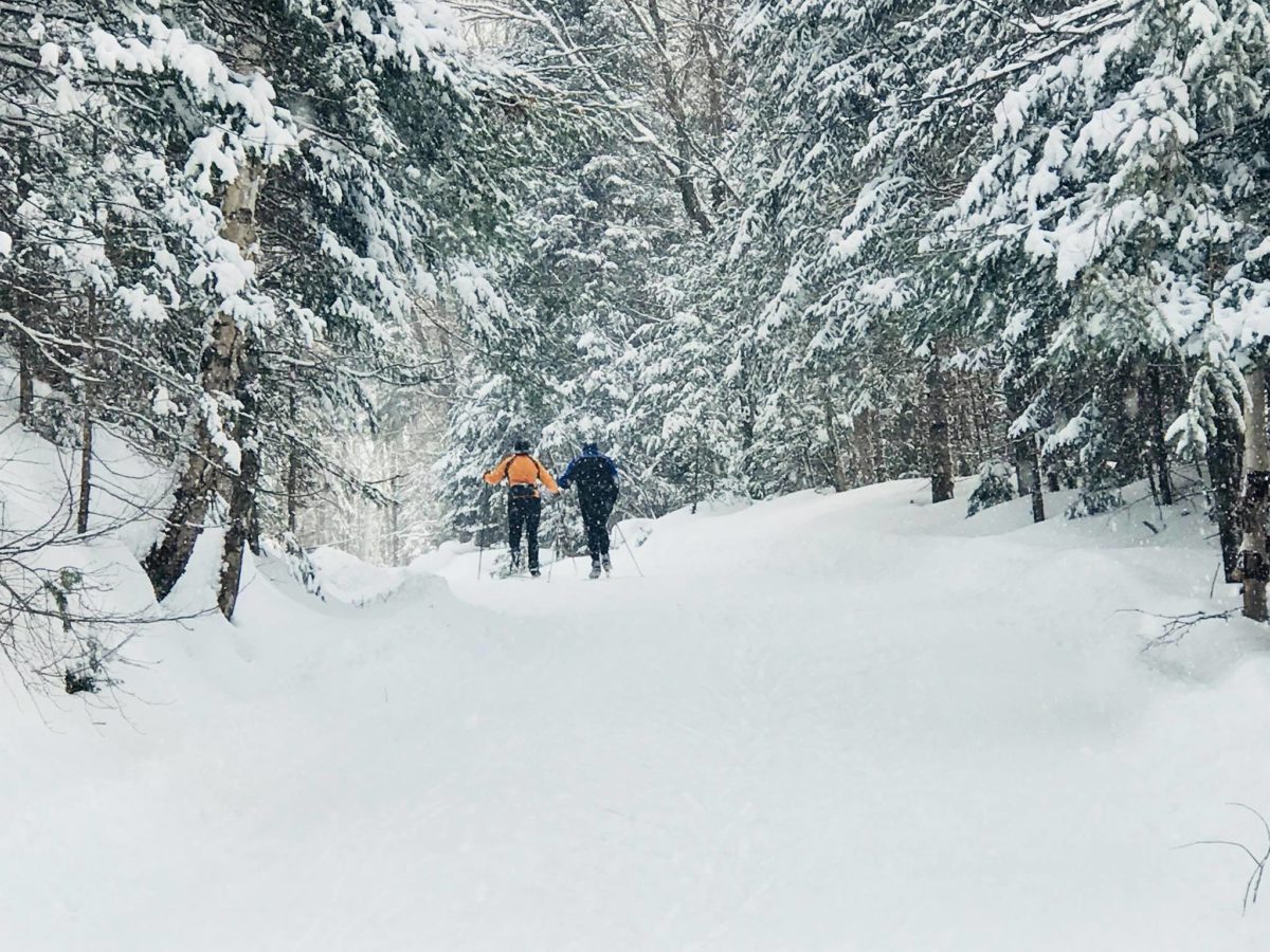 Stokely Creek Lodge, Goulais River, Ont.