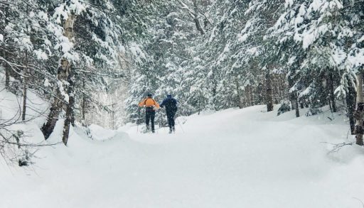 Stokely Creek Lodge, Goulais River, Ont.