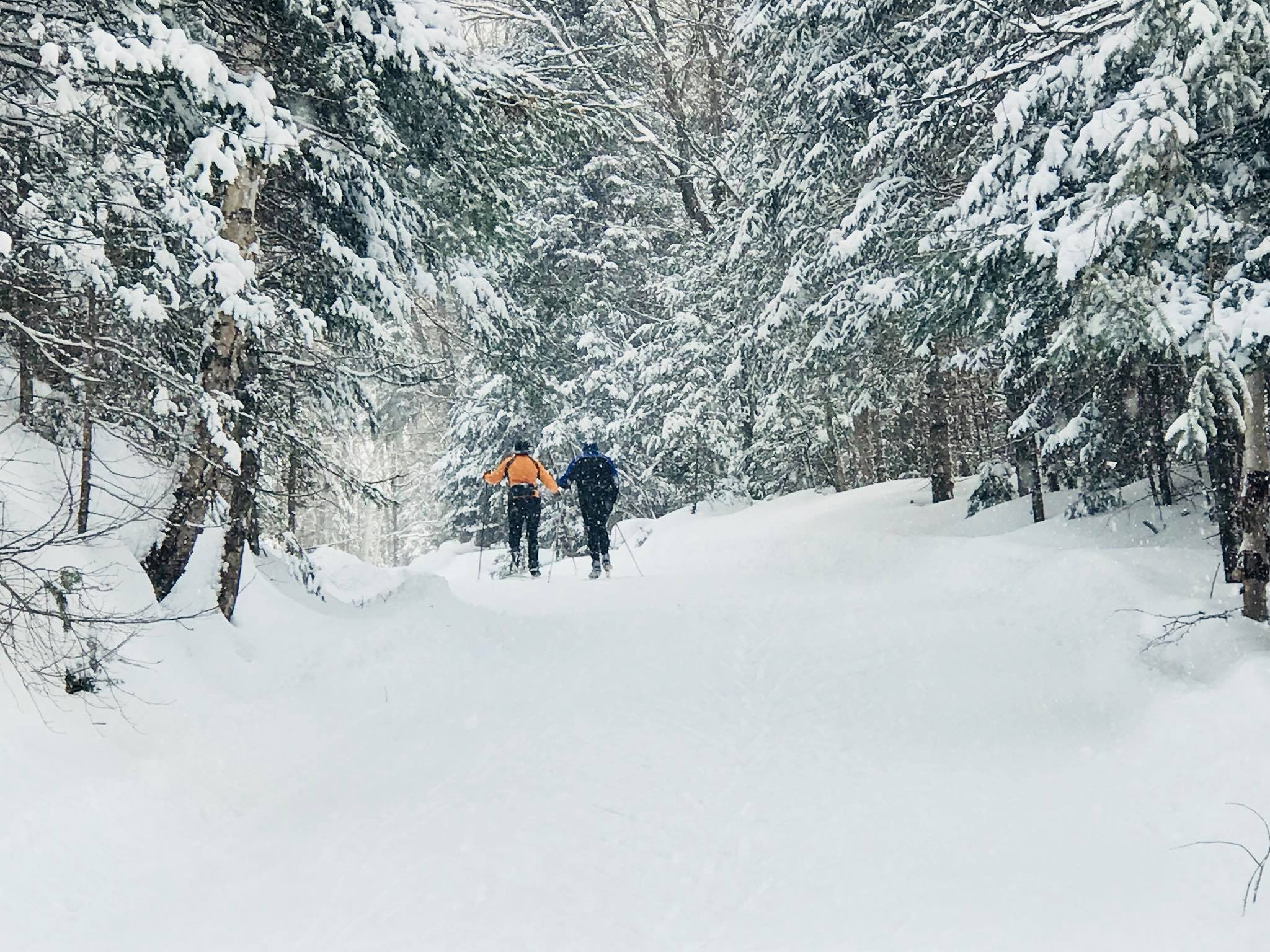 Stokely Creek Lodge, Goulais River, Ont.