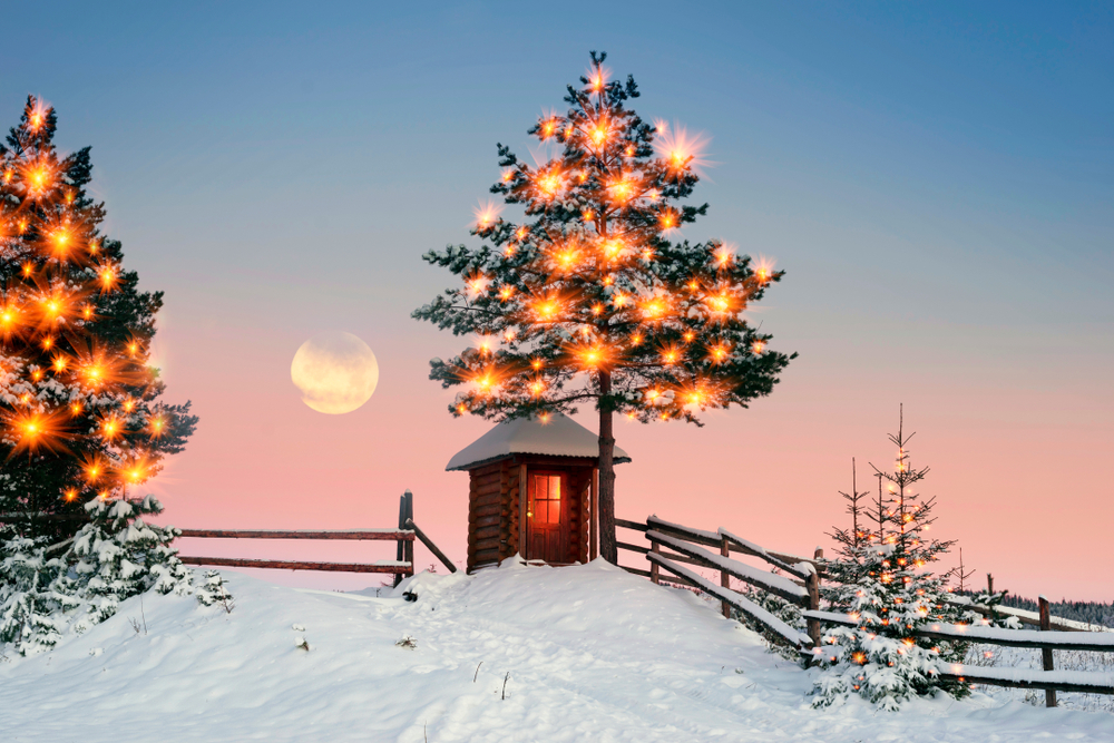 Two pine trees decorated with exterior holiday lights