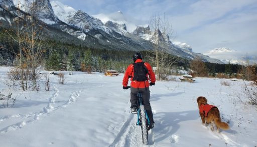 Man and dob on fat biking trails